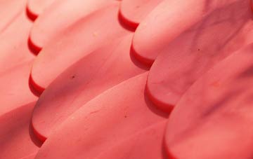 Nether Poppleton plastic roof costs