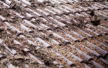 Nether Poppleton roof cleaning companies