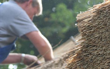 professional Nether Poppleton thatchers