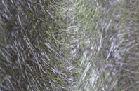 Nether Poppleton fibreglass roof work